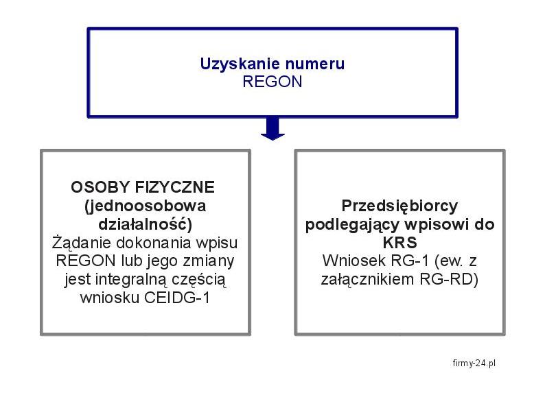 jak uzyskać REGON